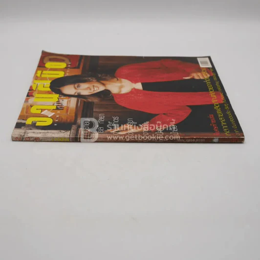งานฝีมือ ฉบับที่ 208 ก.ย.2544 รูปที่ 2