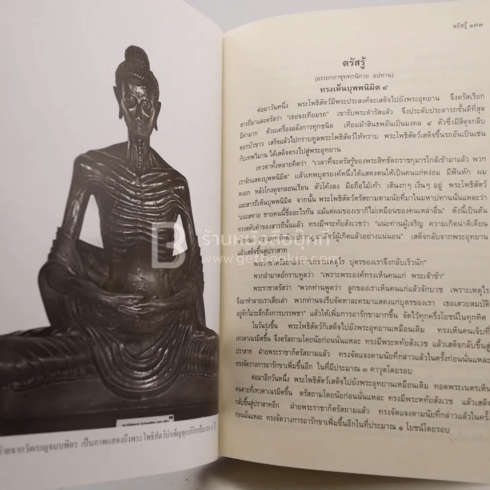 ตามรอยบาทพระพุทธองค์ พร้อมภาพถ่ายพุทธสถานที่สำคัญ รูปที่ 4