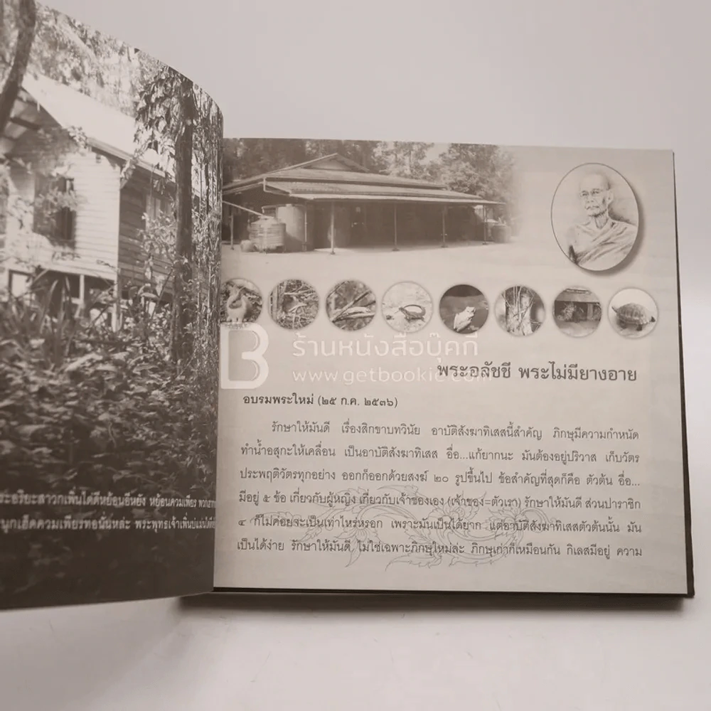 วิริโยเจดีย์ วัดป่าหนองกอง อ.บ้านผือ จ.อุดรธานี รูปที่ 6