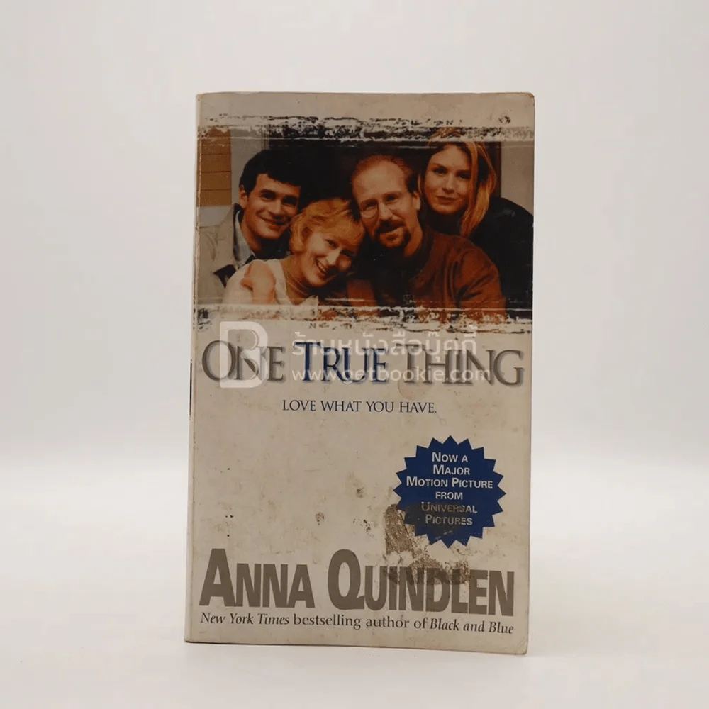 One True Thing รูปที่ 1