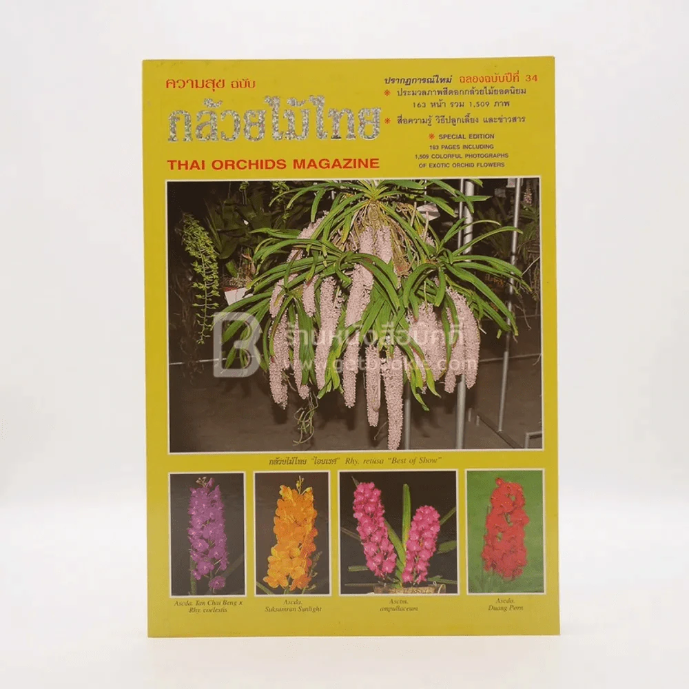 ความสุข ฉบับ กลัวยไม้ไทย รูปที่ 1