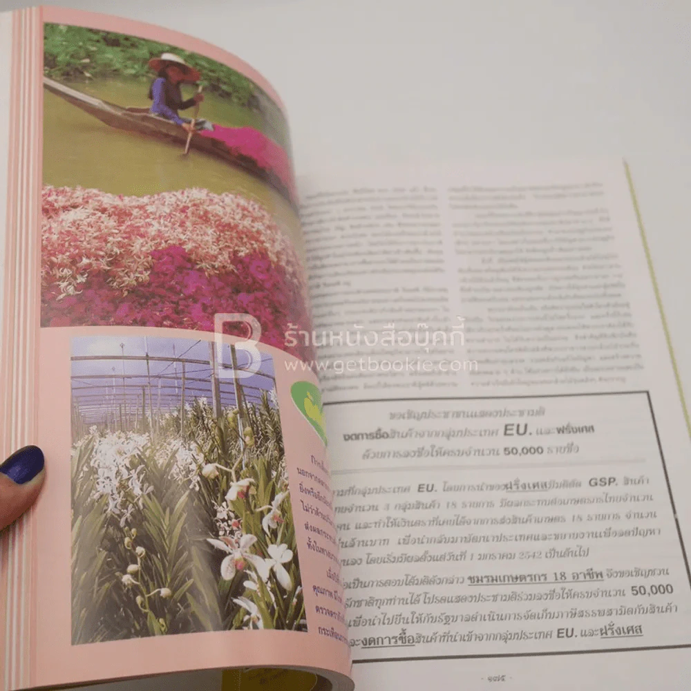 ความสุข ฉบับ กลัวยไม้ไทย รูปที่ 3
