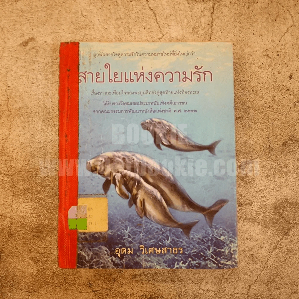 สายใยแห่งความรัก - อุดม วิเศษสาธร รูปที่ 1
