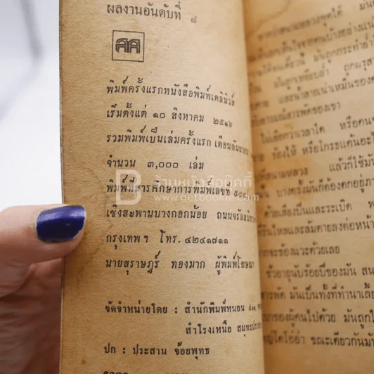 ถนนทุกสายมุ่งสู่สนามหลวง - เพชร พนมทวน รูปที่ 3