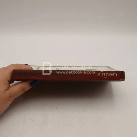 เขาถูกบังคับให้เป็นขุนโจร เล่มจบ - กุหลาบ สายประดิษฐ์ รูปที่ 3
