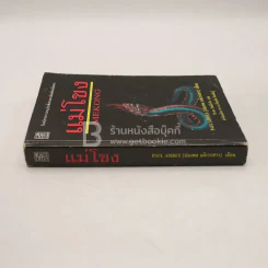 แม่โขง - ปองพล อดิเรกสาร (สภาพบวมน้ำ) รูปที่ 2