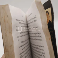 แม่โขง - ปองพล อดิเรกสาร (สภาพบวมน้ำ) รูปที่ 5