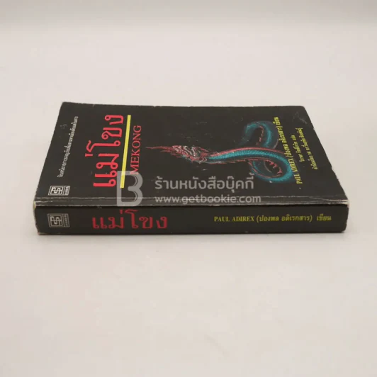 แม่โขง - ปองพล อดิเรกสาร (สภาพบวมน้ำ) รูปที่ 2