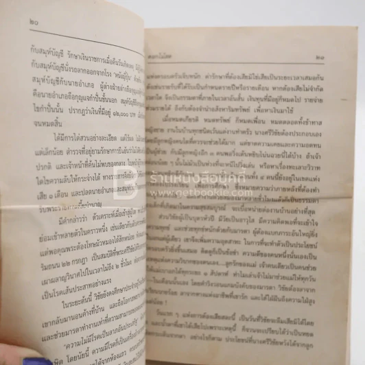 หนึ่งในร้อย - ดอกไม้สด (มีคราบน้ำ) รูปที่ 3