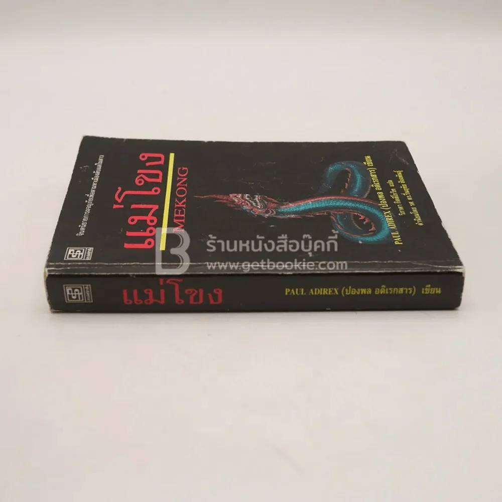 แม่โขง - ปองพล อดิเรกสาร (สภาพบวมน้ำ) รูปที่ 2