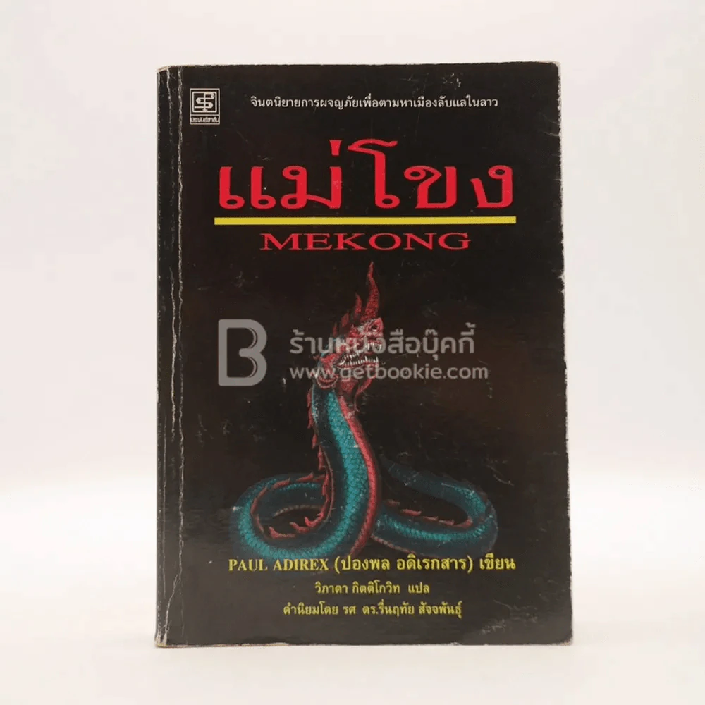แม่โขง - ปองพล อดิเรกสาร (สภาพบวมน้ำ) รูปที่ 1