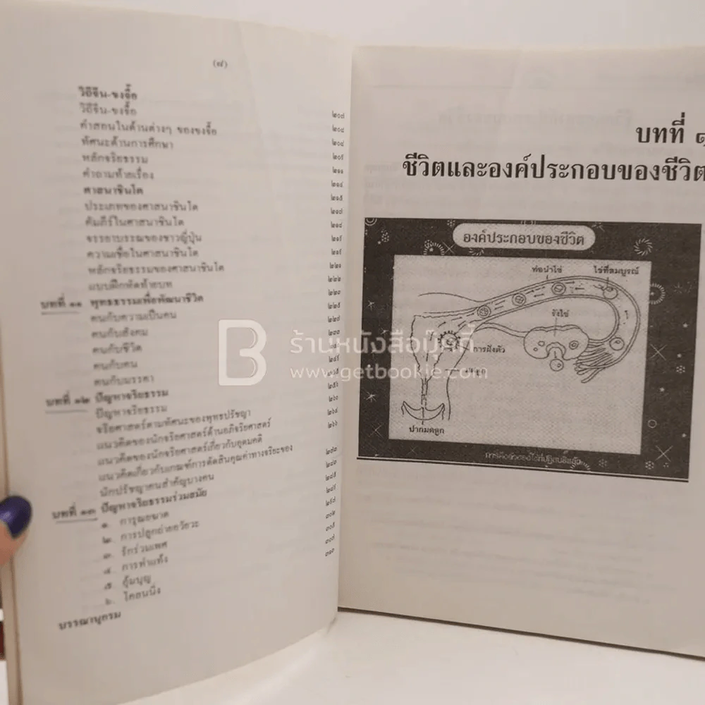 ความจริงของชีวิต Truth of Life รูปที่ 7