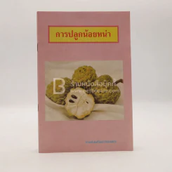 การปลูกน้อยหน่า รูปที่ 1