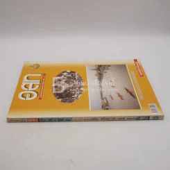 อนุสาร อ.ส.ท. ปีที่ 36 ฉบับที่ 11 มิ.ย.2539 รูปที่ 2