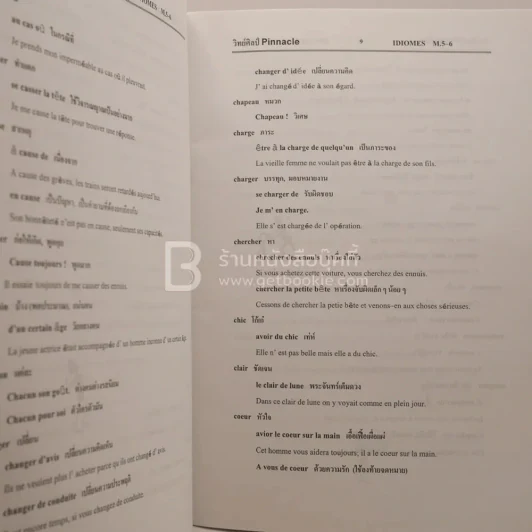 ฝรั่งเศส  Pinnacle Francais M.6 รูปที่ 3