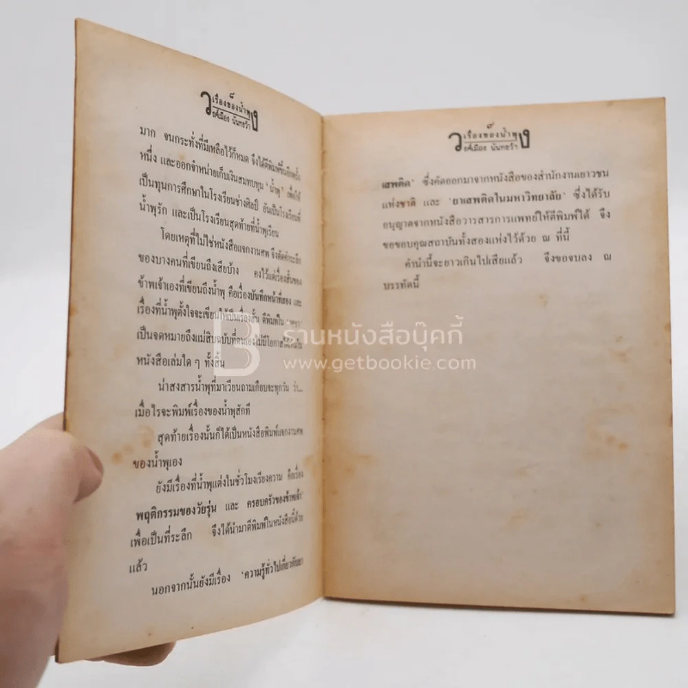 เรื่องของน้ำพุ - วงศ์เมือง นันทขว้าง รูปที่ 3