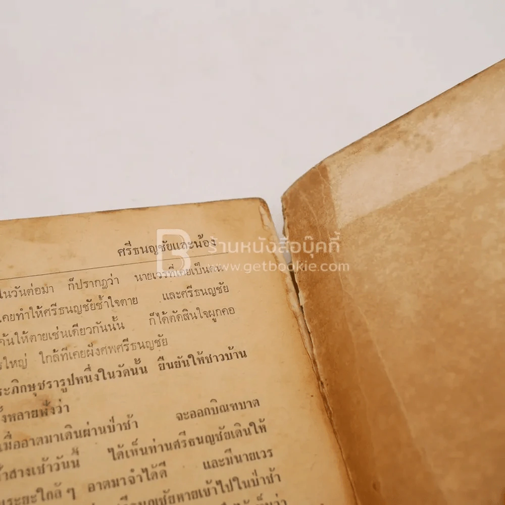 ศรีธนชัย และ น้องศรีธนชัย รูปที่ 7