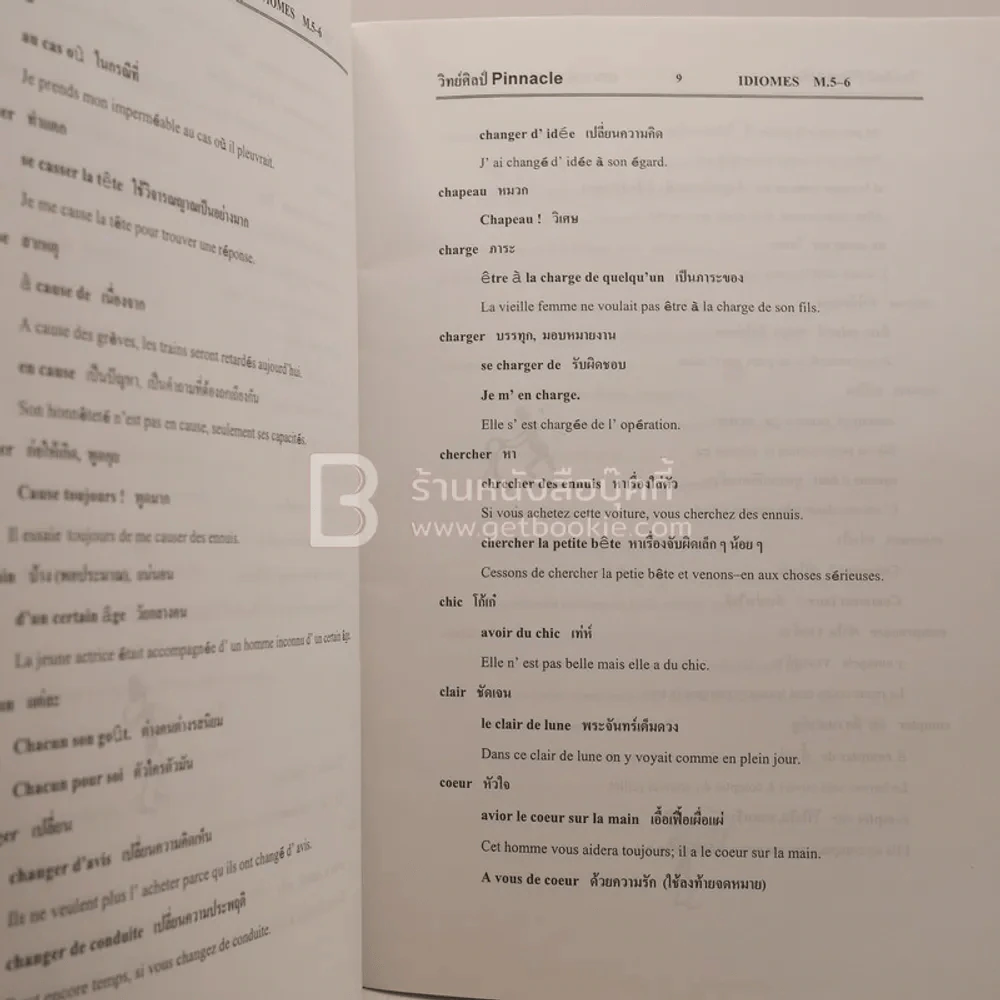 ฝรั่งเศส  Pinnacle Francais M.6 รูปที่ 3