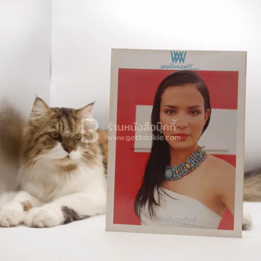 พลอยแกมเพชร ปีที่ 11 ฉบับที่ 252 ก.ค.2545 สุษิรา แน่นหนา รูปที่ 1
