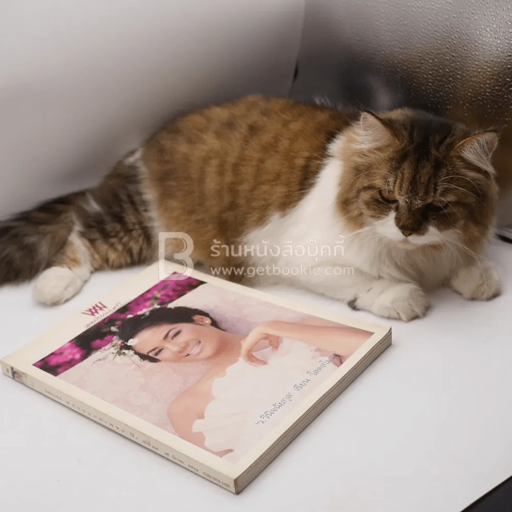 พลอยแกมเพชร ปีที่ 7 ฉบับที่ 165 ธ.ค.2541 รุจิรา ช่วยเกื้อ รูปที่ 11