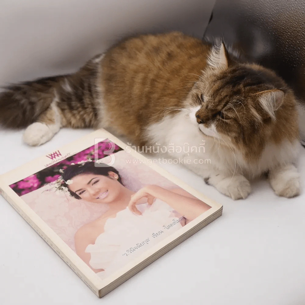 พลอยแกมเพชร ปีที่ 7 ฉบับที่ 165 ธ.ค.2541 รุจิรา ช่วยเกื้อ รูปที่ 8