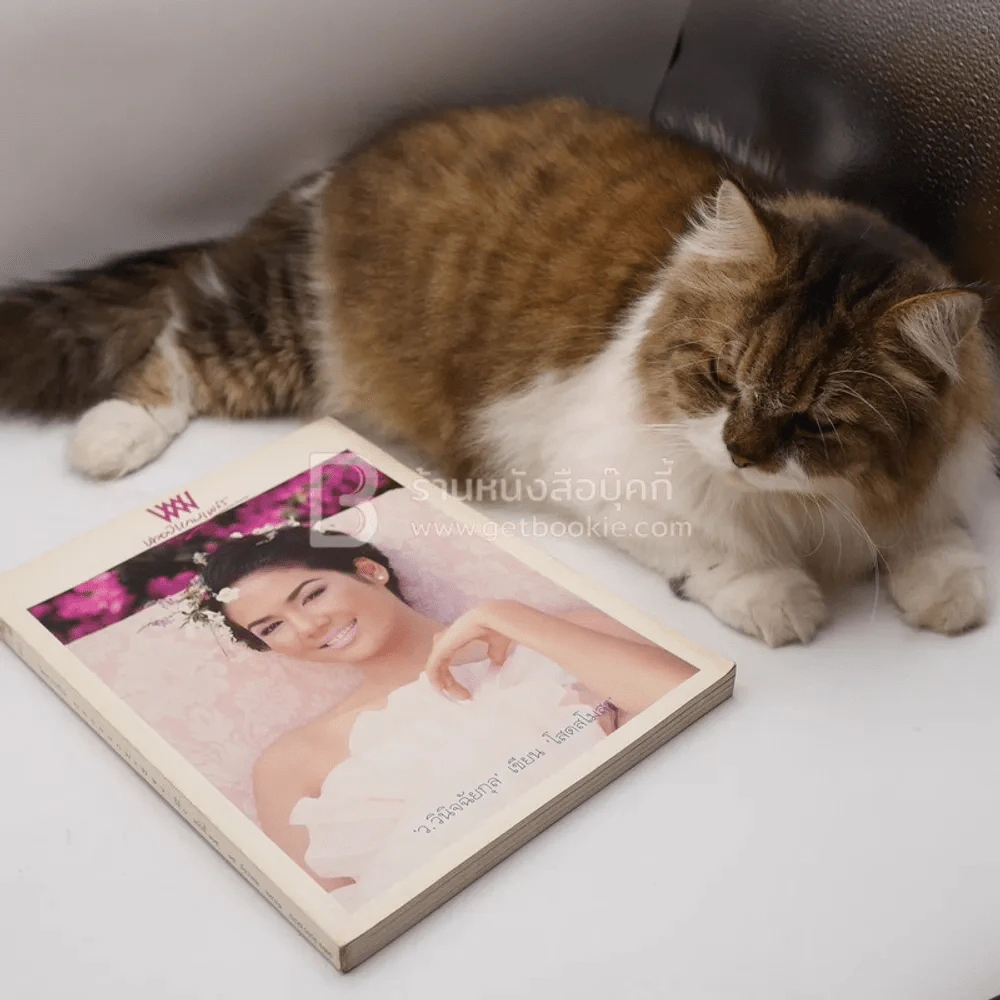 พลอยแกมเพชร ปีที่ 7 ฉบับที่ 165 ธ.ค.2541 รุจิรา ช่วยเกื้อ รูปที่ 9