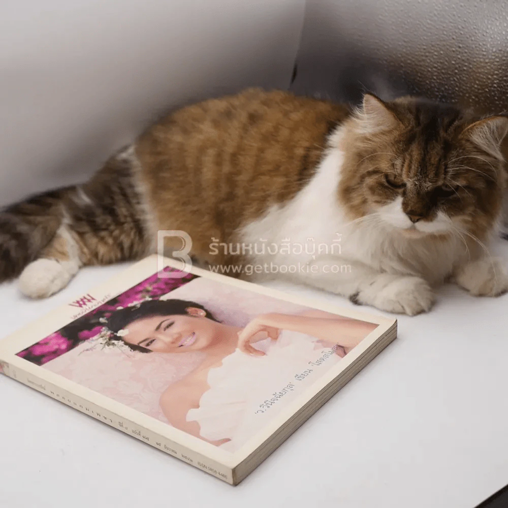 พลอยแกมเพชร ปีที่ 7 ฉบับที่ 165 ธ.ค.2541 รุจิรา ช่วยเกื้อ รูปที่ 10