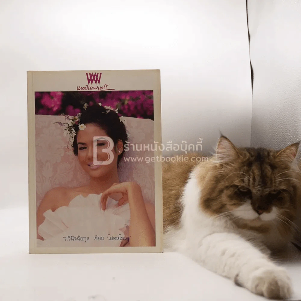 พลอยแกมเพชร ปีที่ 7 ฉบับที่ 165 ธ.ค.2541 รุจิรา ช่วยเกื้อ รูปที่ 5