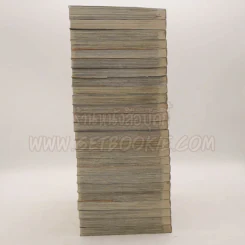 รักลวงป่วนใจ 25 เล่มจบ รูปที่ 3