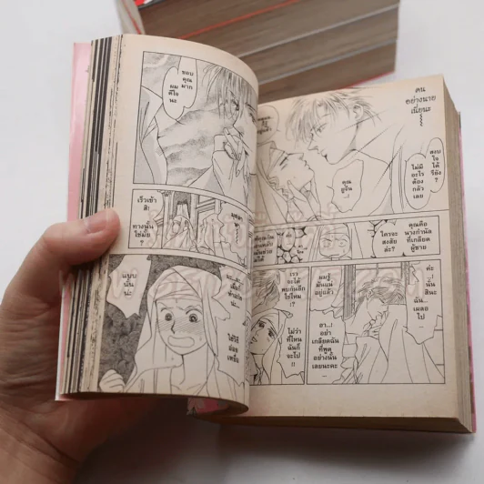 กลรักจ้าวบุปผา 6 เล่มจบ (ขาดเล่ม 6) รูปที่ 9