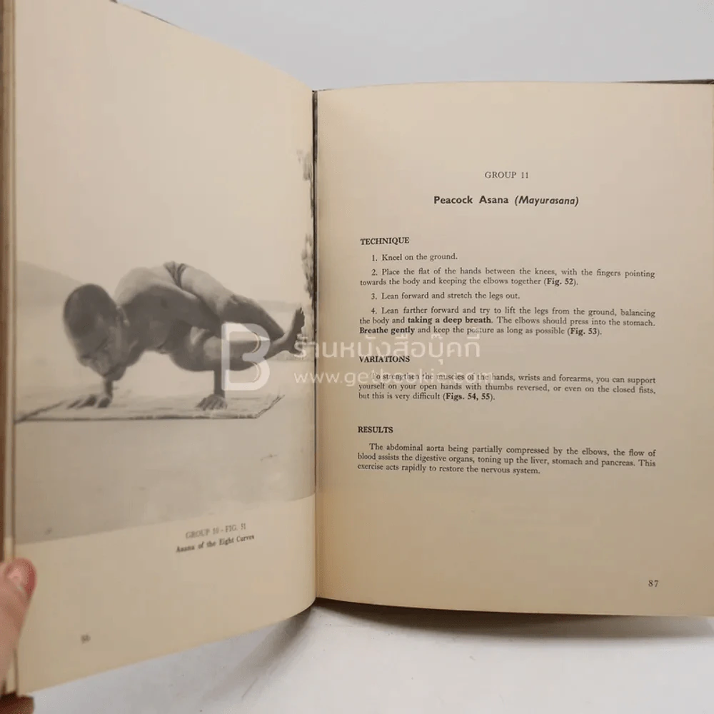 Yoga Asanas รูปที่ 7