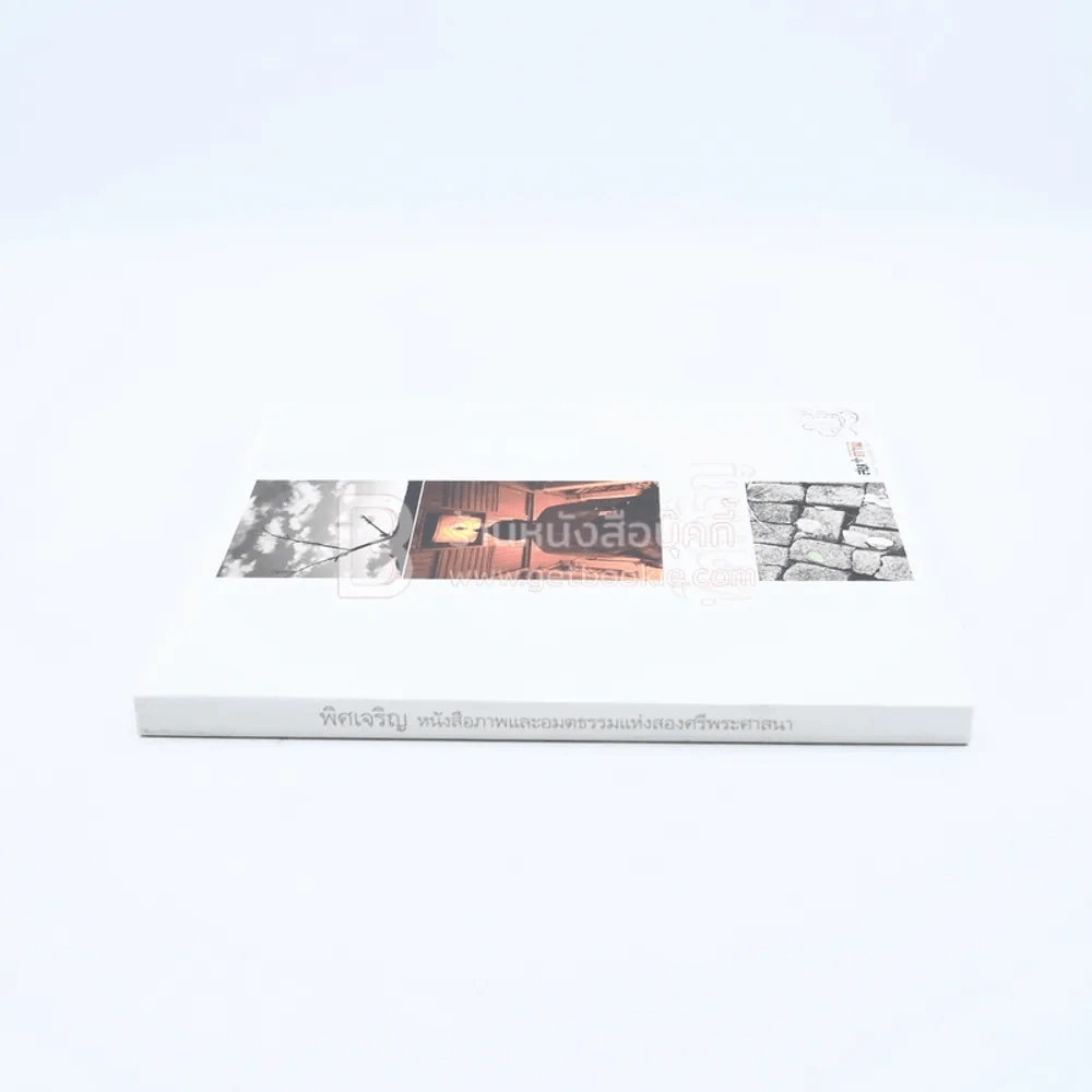 พิศเจริญ หนังสือภาพและอมตธรรมแห่งสองศรีพระศาสนา รูปที่ 2
