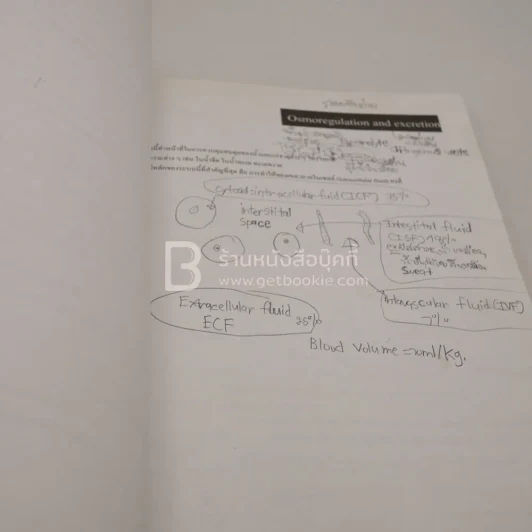 Basic Biology (Opd) (มุมปกขาดมีรอยขีดเขียน) รูปที่ 3