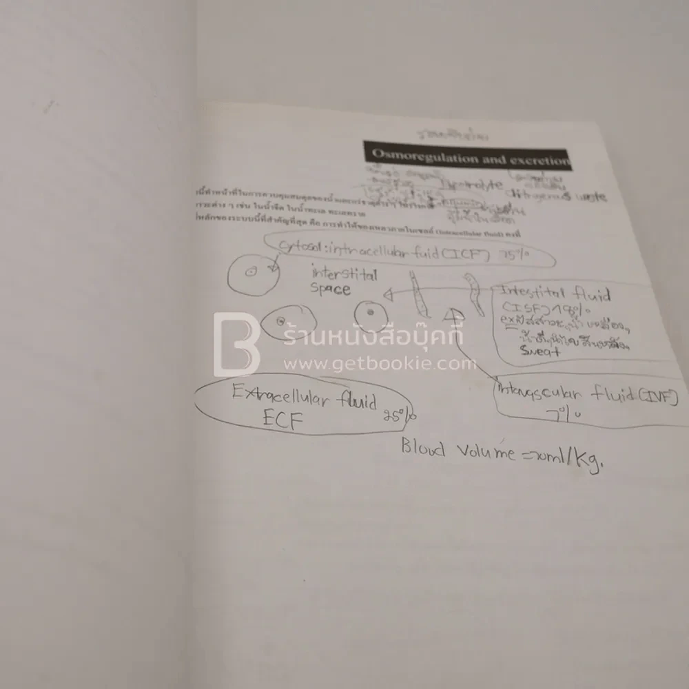 Basic Biology (Opd) (มุมปกขาดมีรอยขีดเขียน) รูปที่ 3