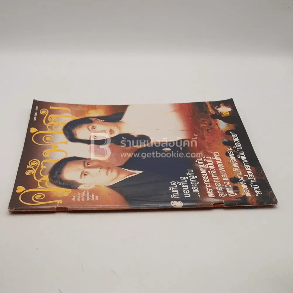 คู่สร้าง คู่สม ปีที่ 16 ฉบับที่ 261 พ.ย. พ.ศ.2538 เบิร์ด (มีคราบน้ำ) รูปที่ 2