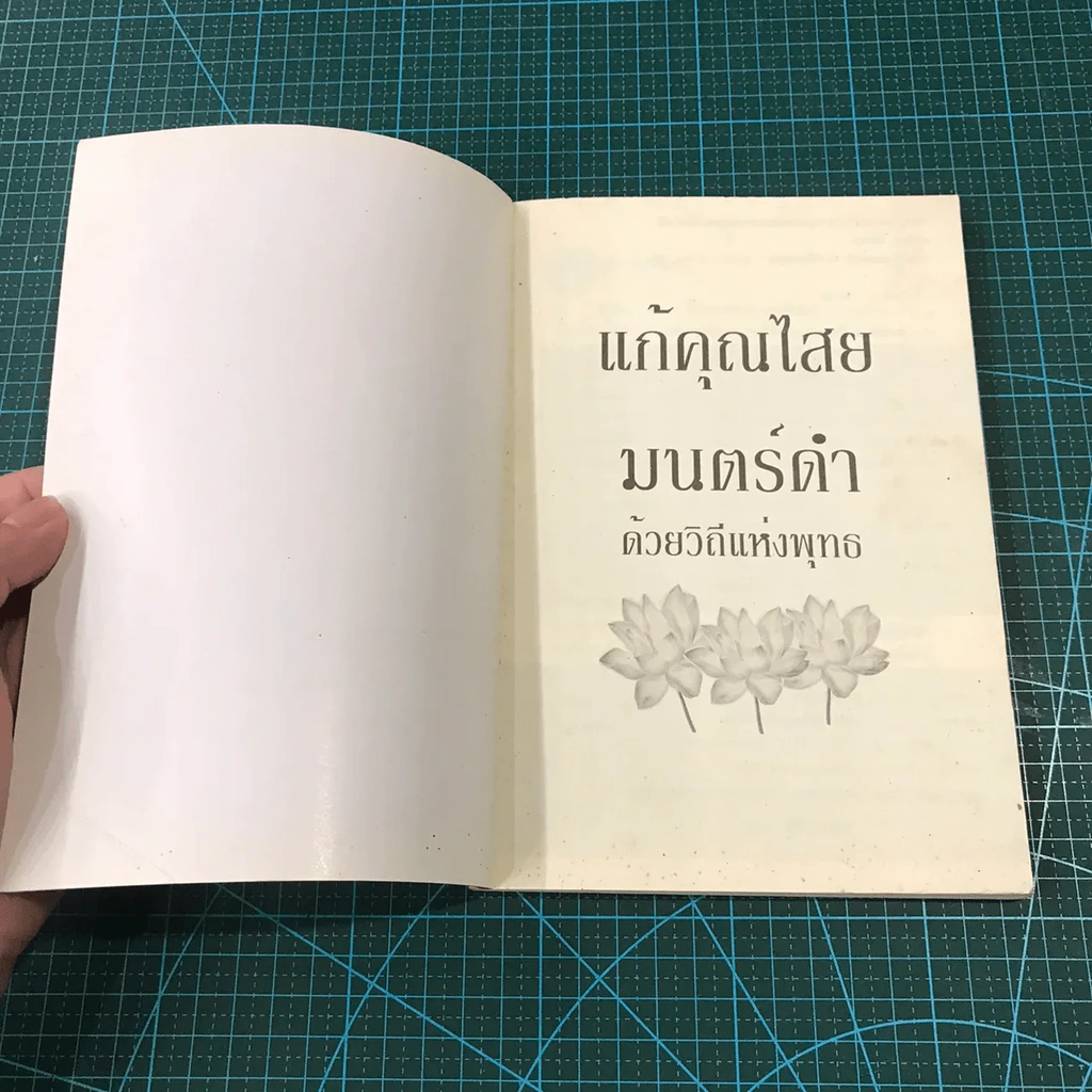 แก้คุณไสย มนต์ดำ ด้วยวิถีแห่งพุทธ รูปที่ 8