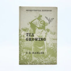 Tea Growing  การปลูกชา รูปที่ 1