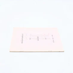 หนังสือบริคณห์สนธิและข้อบังคับของ บริษัท มาวิค จำกัด รูปที่ 2