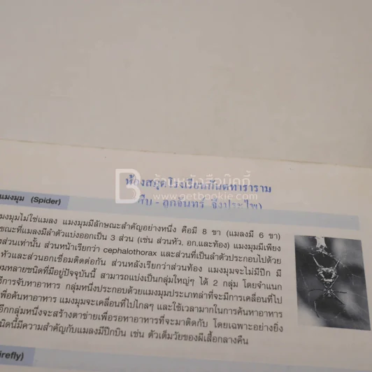ปริศนานานาสัตว์ รูปที่ 4