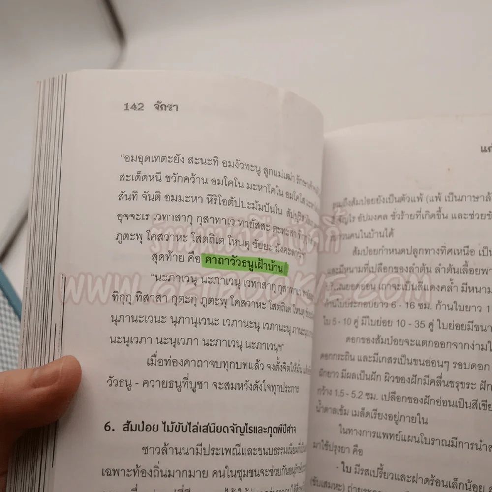 แก้คุณไสย ไล่เสนียด - จักรา รูปที่ 5