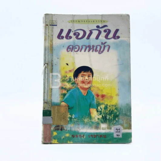 แจกันดอกหญ้า - ฉลอง เจยาคม (มีตราปั๊มห้องสมุด/มีคราบน้ำ) รูปที่ 1