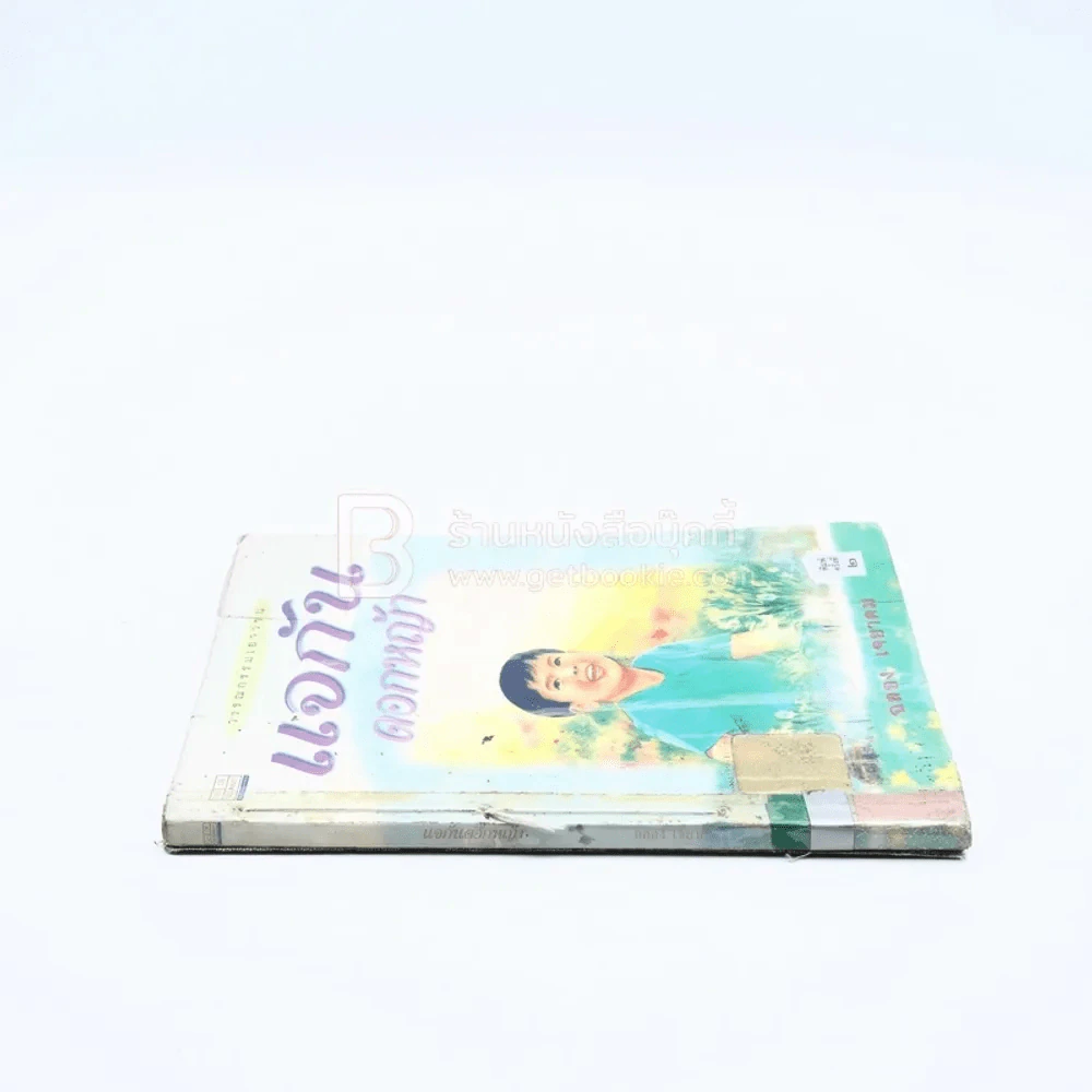 แจกันดอกหญ้า - ฉลอง เจยาคม (มีตราปั๊มห้องสมุด/มีคราบน้ำ) รูปที่ 3