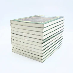 ราชาแห่งราชัน 11 เล่มจบ รูปที่ 4