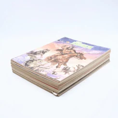 ช็อค 20 เล่ม รูปที่ 4