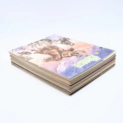ช็อค 20 เล่ม รูปที่ 5