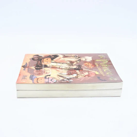The Prince อลวน เจ้าชายปีศาจ เล่ม 1-2 รูปที่ 3