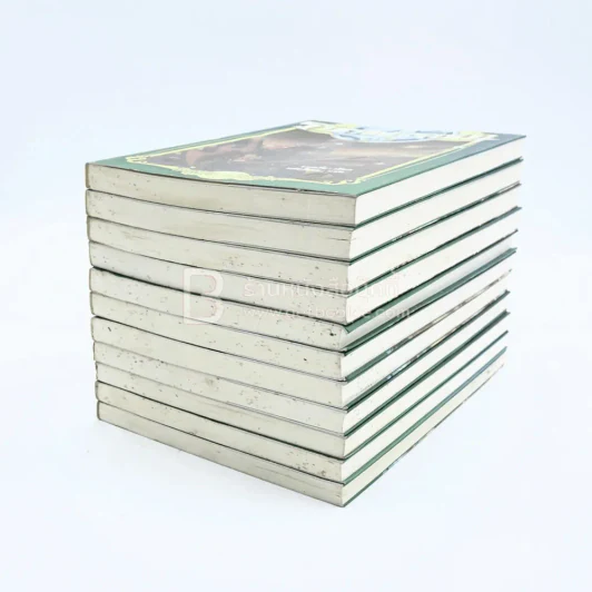 ราชาแห่งราชัน 11 เล่มจบ รูปที่ 4