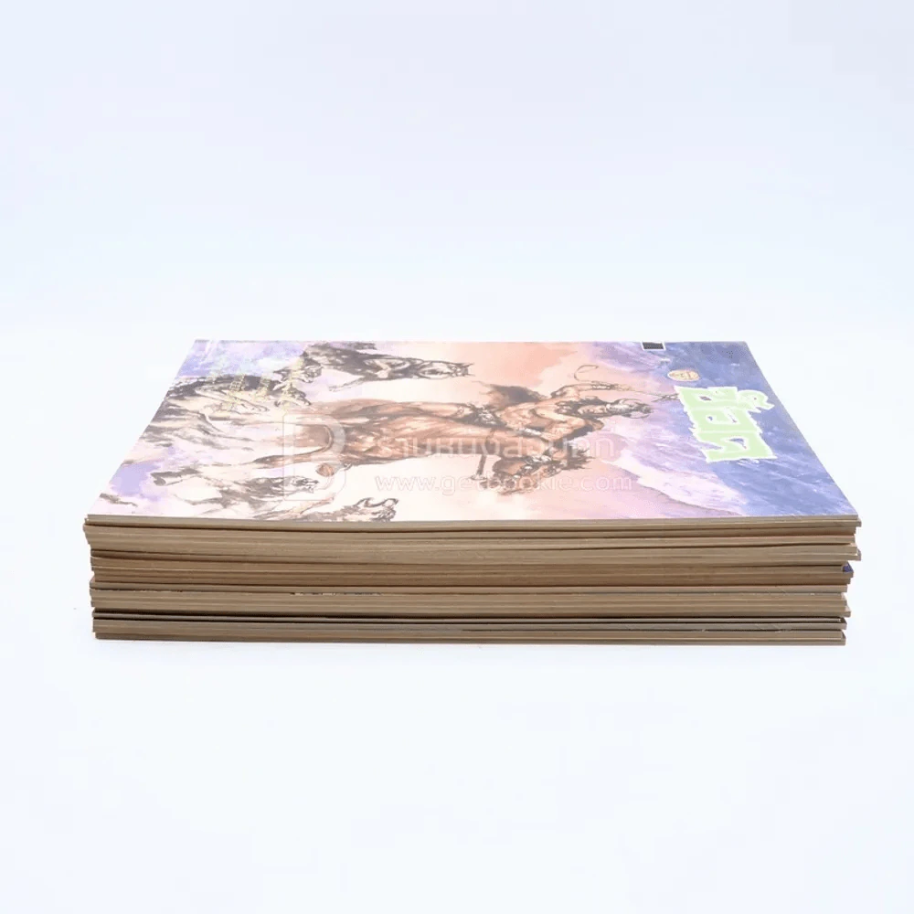 ช็อค 20 เล่ม รูปที่ 3