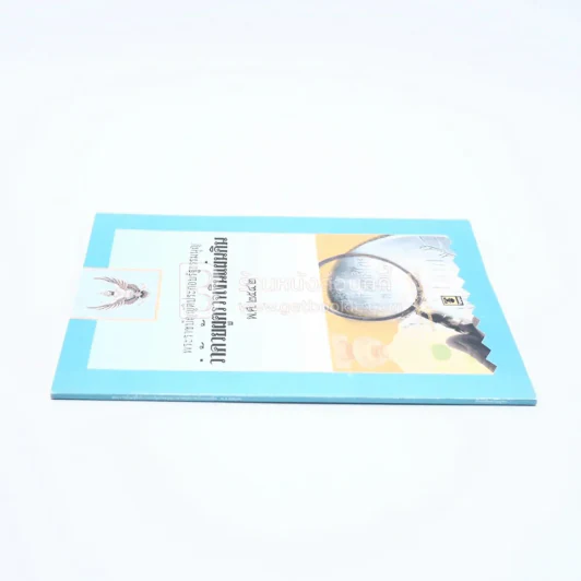 พระราชบัญญัติประกอบรัฐธรรมนูญว่าด้วยผู้ตรวจเงินแผ่นดิน พ.ศ.2542 รูปที่ 2