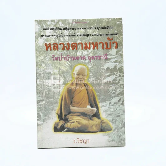 หลวงตามหาบัว - ว.วิชญา รูปที่ 1